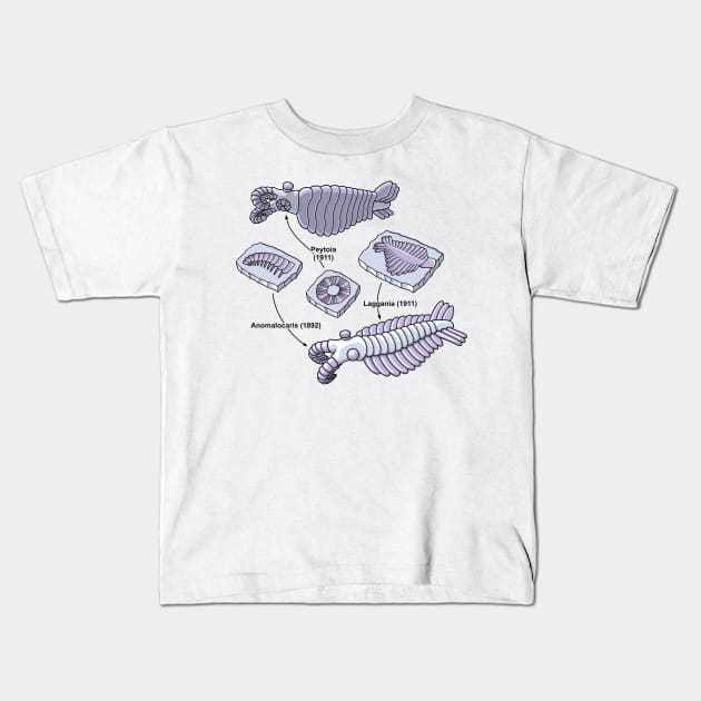 Anomalocaris Fossils Kids T-Shirt by taylorcustom